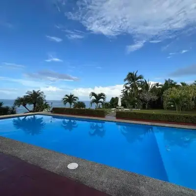 Caribbean View