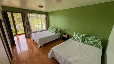 a green room with two beds and a window at Brumas de Valverde in Monteverde Costa Rica
