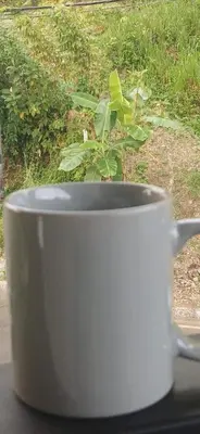a white coffee cup sitting on a window sill at Apartamentos Jireh in Quepos