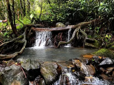 a waterfall in the middle of a forest at Cloud Forest Villas- Eco Lux - All Inclusive