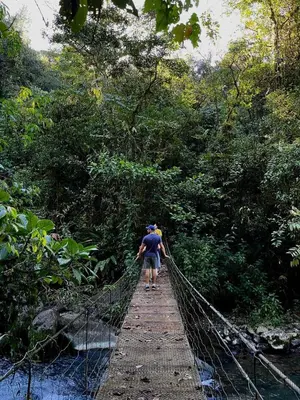 a man walking across a suspension bridge in the jungle at Cloud Forest Villas- Eco Lux - All Inclusive