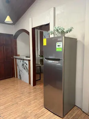a kitchen with a stainless steel refrigerator with a plant on top at Dreams of Golden Wings in Monteverde Costa Rica