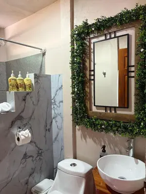 a bathroom with a toilet and a sink and a mirror at Dreams of Golden Wings in Monteverde Costa Rica