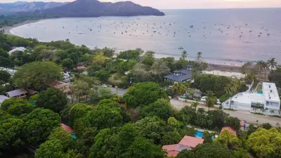 an aerial view of a beach with birds in the water at Villa Del Sol Boutique Hotel in Coco