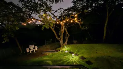 a tree and a bench in a park at night at Villa Sura in Colón