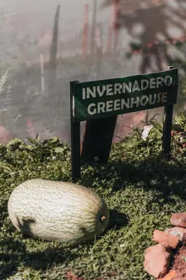 a sign in the ground with a fish next to it at Cedrela Eco-Lodge & Restaurante in El Copey