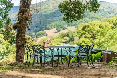 a table and chairs sitting next to a tree at Cedrela Eco-Lodge & Restaurante in El Copey