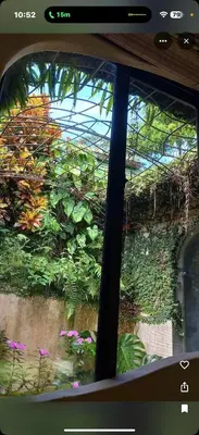 a window view of a garden with plants at LaCusuca in Guadalajara