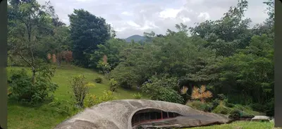 a bridge in the middle of a field with trees at LaCusuca in Guadalajara