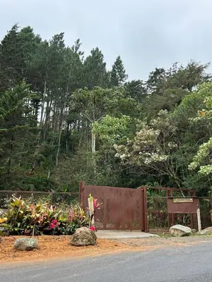 a fence with a gate with flowers and trees at Bhoga Forest