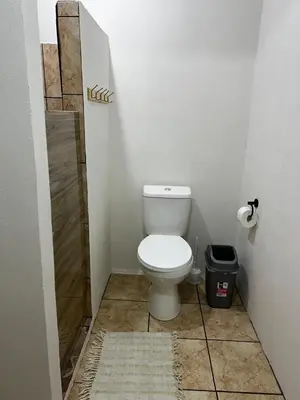 a small bathroom with a toilet and a shower at El Bosque Apartments in Sámara