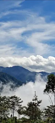 a view of a mountain with clouds and trees at Infinite Stillness Farm in Buenos Aires