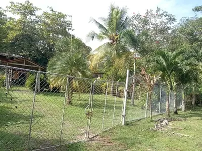 a fence in front of a yard with palm trees at Casa Almendros in Cabuya