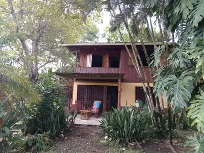 a house in the middle of a forest at Casa Almendros in Cabuya