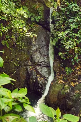 a stream of water coming out of a rock at Casa Kimara in Uvita