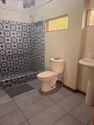 a bathroom with a toilet and a shower and a sink at Tivives Kikala Lodge 2 in Puntarenas