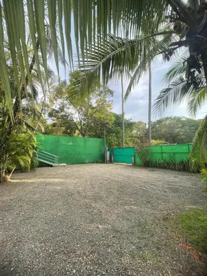 a green fence with palm trees in the background at Apartamento Playa Sámara in Sámara