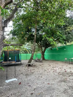 a playground with a tree and a swing at Apartamento Playa Sámara in Sámara