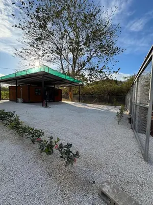 a building with a bunch of flowers on the ground at Casa Mosquero - lovely 1 bedroom home in Tamarindo - private and serene in Tamarindo