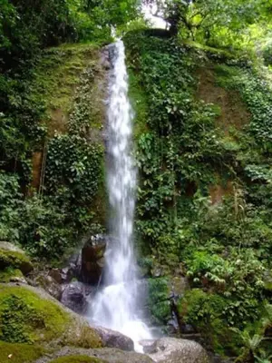 a waterfall in the middle of a forest at 2BR Toucans and Waterfalls- the garden cottage in Caña Blanca