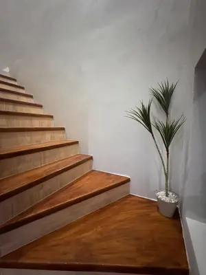 a potted plant sitting on a wooden floor next to stairs at Blue Zone Private Eco Residence - Essence Suite - in Tamarindo
