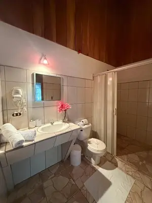 a bathroom with a sink and a toilet at Selva Partners La Fortuna in Guaria