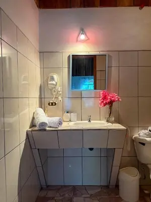 a bathroom with a sink and a mirror and a toilet at Selva Partners La Fortuna in Guaria