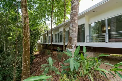 an exterior view of a house in the forest at Casa Bromelia in Portalón