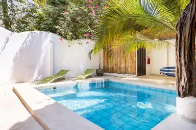 a swimming pool with a palm tree in a yard at La Buena vida Cabina 3 in Playa Grande
