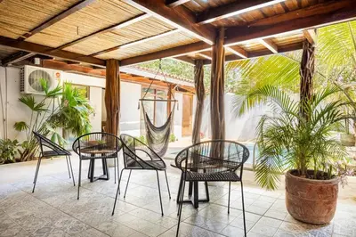 a patio with black chairs and a potted plant at La Buena vida Cabina 3 in Playa Grande