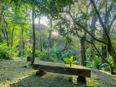 a wooden bench sitting in the middle of a forest at Nido de Montaña in Fraijanes