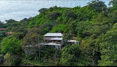 a house on a hill in the middle of a forest at Silencio Verde in Atenas