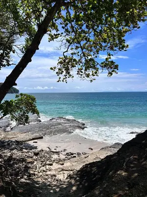 a view of the ocean from a beach with a tree at Hospedaje el Argentico in Tapantí