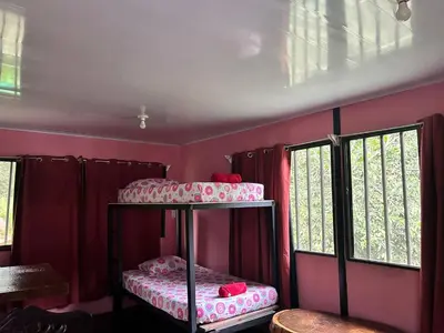 two bunk beds in a room with pink walls at Hospedaje el Argentico in Tapantí