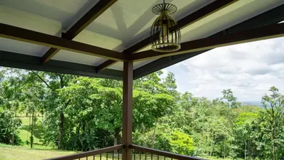 a screened in porch with a view of trees at Divan Jungle Lodge in Fortuna