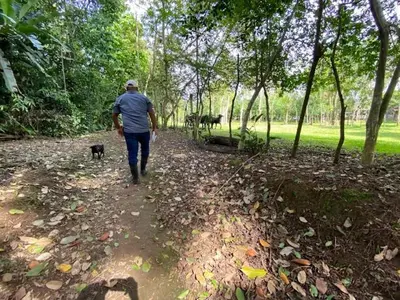 a man walking a dog on a trail at Casita Los Búfalos in Guácimo
