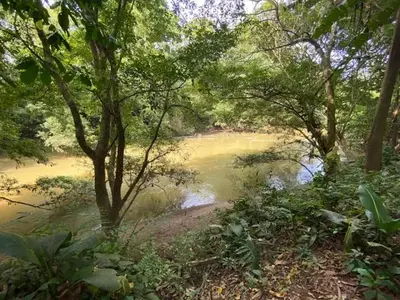 a body of water with trees and a river at Casita Los Búfalos in Guácimo