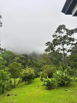 a lush green field with trees and fog in the background at Residential Finca Celeste in Bijagua