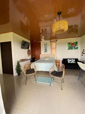 a bedroom with a bed and two chairs in it at Villa Paraiso in Venecia