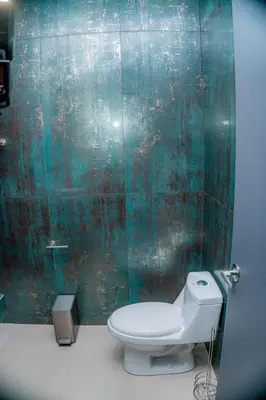 a bathroom with a toilet and a green wall at Villa Elemental Modern Villa Volcano Views & Luxe Touches in Fortuna