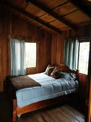 a bed in a wooden room with a window at Rio Paquita Lodge in Tapantí