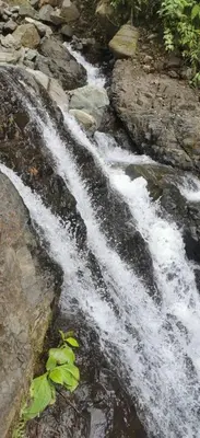 a stream of water with rocks and plants at Rio Paquita Lodge in Tapantí