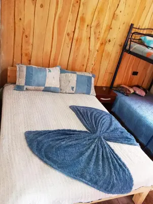 a blue and white bed in a room with wooden walls at Hospedaje oye in Herradura