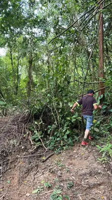 a man walking down a trail in the woods at Hospedaje oye in Herradura