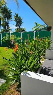 a plant with orange flowers next to a fence at Los Papyrus in Uvita