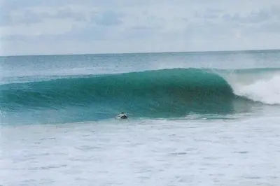 a surfer riding a large wave in the ocean at New Beachfront Jewel in the Jungle on Golfo Dulce in Tapantí