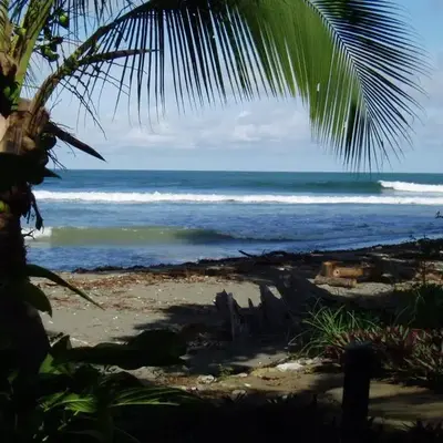 New Beachfront Jewel in the Jungle on Golfo Dulce