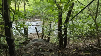 a creek in the middle of a forest at Landscape-Cabaña winter full equipada in La Cruz
