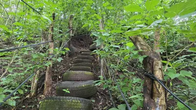 a trail in the middle of a forest with tires at Landscape-Cabaña winter full equipada in La Cruz