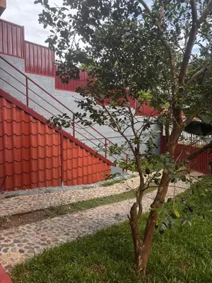 a tree in the grass next to a red fence at Casa Girasol PZ in San Isidro